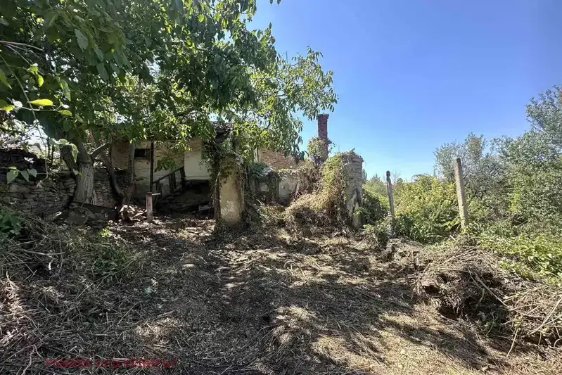 House in Oblast Veliko Tyrnovo, Dragijevo