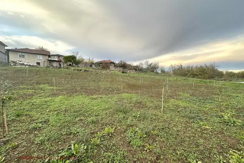 House in Oblast Veliko Tyrnovo, Dragijevo