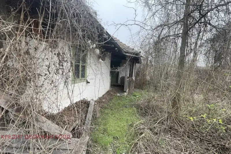 House in Oblast Veliko Tyrnovo, Hotnica