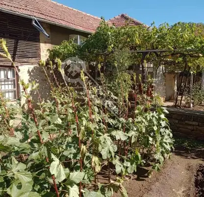 Photo 3 — House in Oblast Veliko Tyrnovo, Koevci