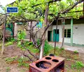 Снимка 2 — Къща във Велико Търново, с. Миндя