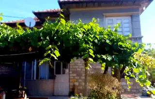 Къща във Велико Търново, с. Нова Върбовка