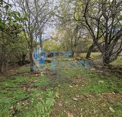 Снимка 3 — Къща с голям парцел в с. Ново градище, обл. Велико Търново