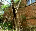 Снимка 5 — Къща във Велико Търново, с. Осенарите