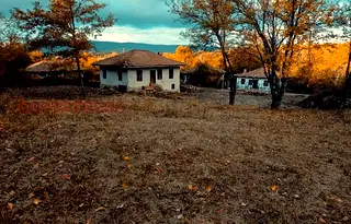 Къща във Велико Търново, с. Палици