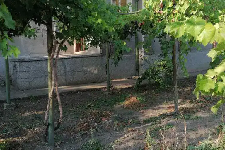 Къща във Велико Търново, с. Патреш
