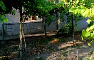 Къща във Велико Търново, с. Патреш