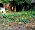 Снимка 3 — Къща във Велико Търново, с. Патреш