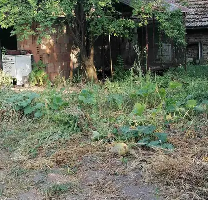 Photo 3 — House in Oblast Veliko Tyrnovo, Patresh