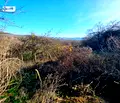 Снимка 5 — Къща във Велико Търново, с. Пчелище