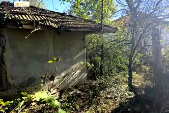 Къща във Велико Търново, с. Плаково
