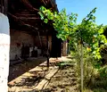 Снимка 4 — Къща във Велико Търново, с. Присово