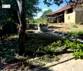 Снимка 4 — Къща във Велико Търново, с. Ресен