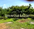 Снимка 3 — Къща във Велико Търново, с. Шемшево