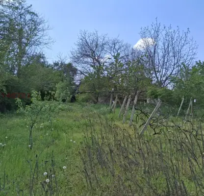 Photo 3 — 5-room house in s. Strelets, Veliko Tarnovo region with large yard