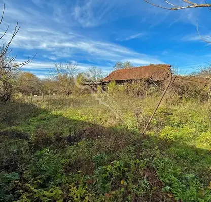 Photo 2 — House in Oblast Veliko Tyrnovo, Velchevo