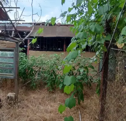 Photo 5 — House in Veliko Tyrnovo, s. Vodoley
