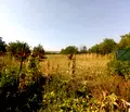 Снимка 5 — Къща във Видин, с. Бела Рада