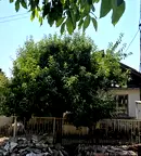 Къща във Видин, с. Буковец
