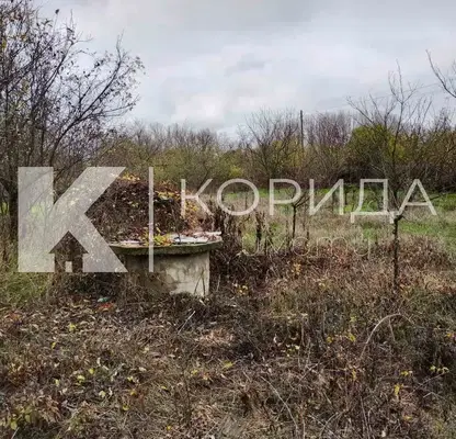 Снимка 3 — Къща във Видин, с. Дражинци