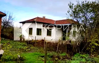 Къща във Видин, с. Дражинци