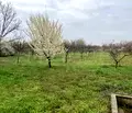 Снимка 5 — Къща във Видин, с. Капитановци