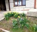 Снимка 4 — Къща във Видин, с. Воднянци
