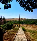 Къща във Враца, Мизия