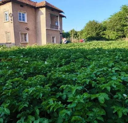 Photo 2 — House in Oblast Vraca, Carevec