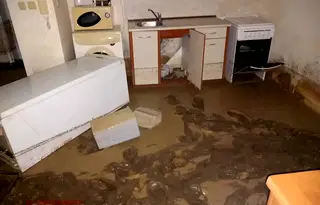 Къща във Враца, с. Голямо Пещене