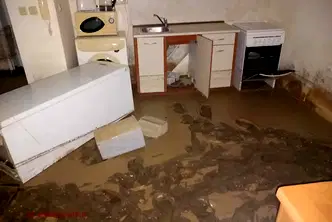 Къща във Враца, с. Голямо Пещене