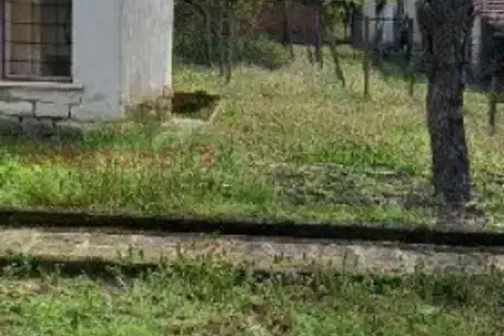 House with yard in Lesura village, Vratsa region