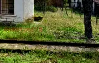Къща във Враца, с. Лесура