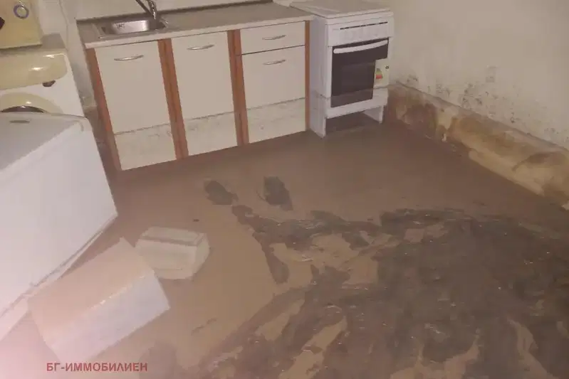 Къща с двор и стопански постройки в с. Сираково, област Враца