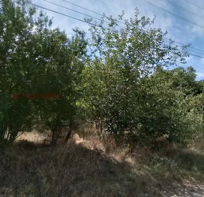 Снимка 2 — Къща във Враца, с. Търнак