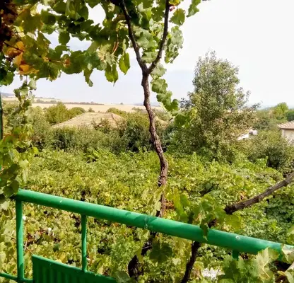 Снимка 4 — Къща във Враца, с. Върбешница