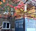 Снимка 5 — Къща във Враца, с. Зверино