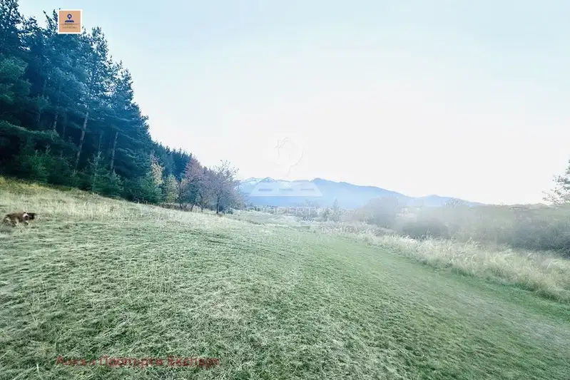 Meadow in Blagoevgrad, Bansko
