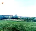 Снимка 3 — Земеделски имот в Благоевград, Банско