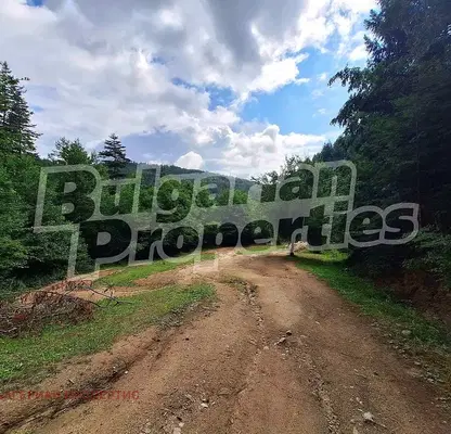Photo 2 — Agricultural Land in Oblast Blagoevgrad, Bachevo