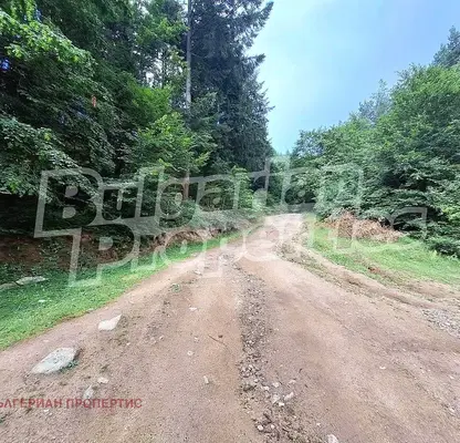 Photo 3 — Agricultural Land in Oblast Blagoevgrad, Bachevo