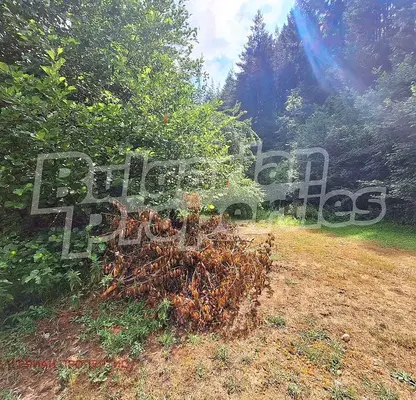 Photo 4 — Agricultural Land in Oblast Blagoevgrad, Bachevo