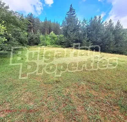 Photo 5 — Agricultural Land in Oblast Blagoevgrad, Bachevo