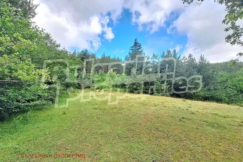Agricultural Land in Oblast Blagoevgrad, Bachevo