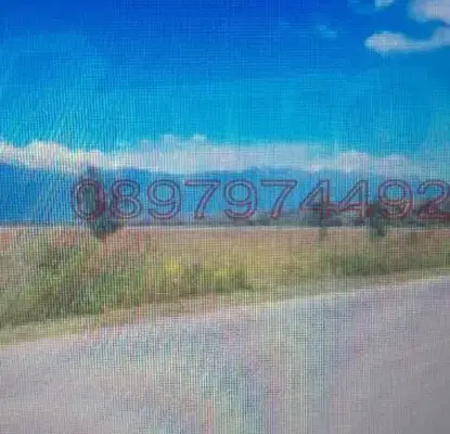 Photo 4 — Agricultural Land in Oblast Blagoevgrad, Banichan