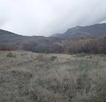 Photo 2 — Agricultural Land in Oblast Blagoevgrad, с. Делчево