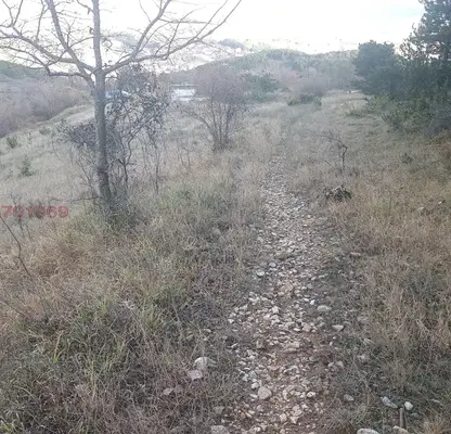 Photo 3 — Agricultural Land in Oblast Blagoevgrad, с. Делчево