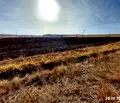 Снимка 2 — Земеделски имот в Бургас, Карнобат