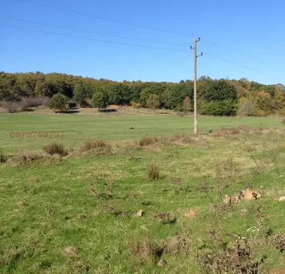 Photo 2 — Agricultural Land in Oblast Burgas, Sinemorec