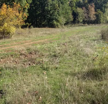 Photo 5 — Agricultural Land in Oblast Burgas, Sinemorec